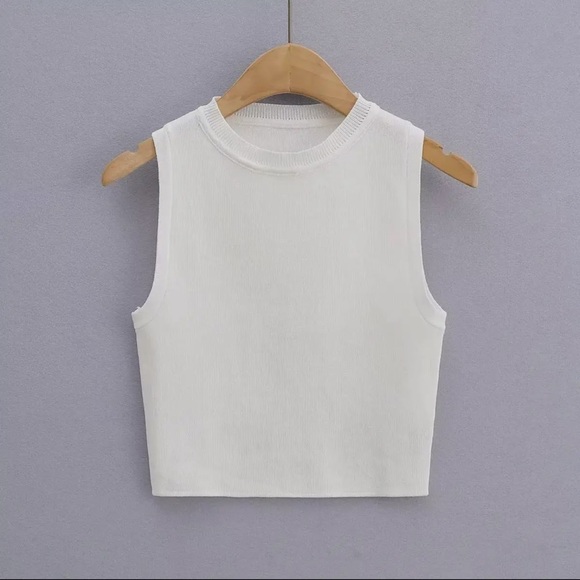 White Slim Fit Knit Crop Top - Picture 1 of 3